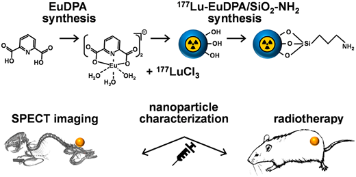 Resumo gráfico: 177Lu-Labeled Eu-Doped Mesoporous SiO2 Nanoparticles as a Theranostic Radiopharmaceutical for Colorectal Cancer Therapy